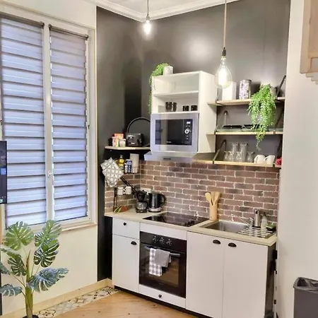 Studio Le Petit Nid Douillet - Centre
