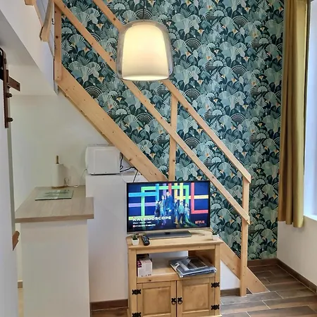 Apartment Studio Le Petit Nid Douillet - Centre